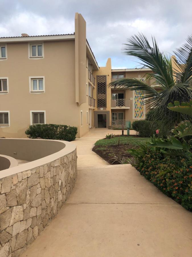 Zen House Tropical Santa Maria